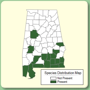 Species Distribution Map