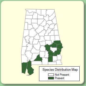 Species Distribution Map