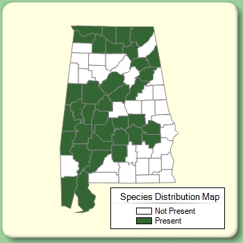 Species Distribution Map