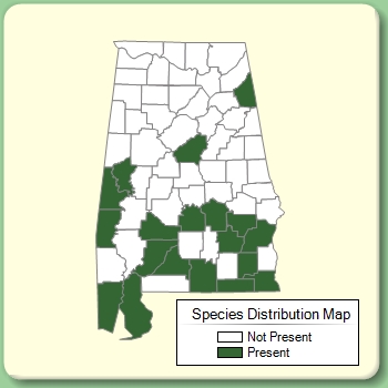 Species Distribution Map