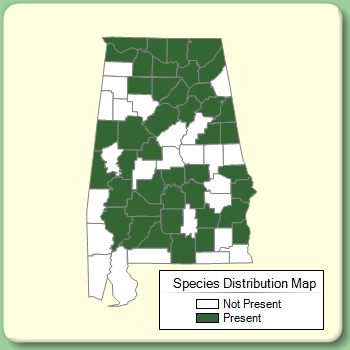 Species Distribution Map