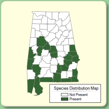 Species Distribution Map