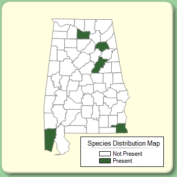 Species Distribution Map