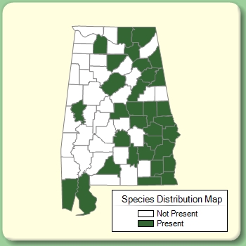 Species Distribution Map