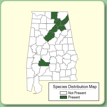 Species Distribution Map