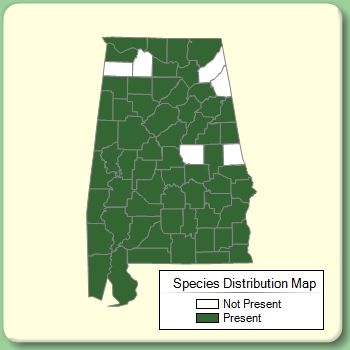 Species Distribution Map