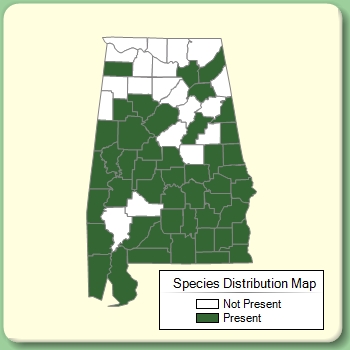 Species Distribution Map