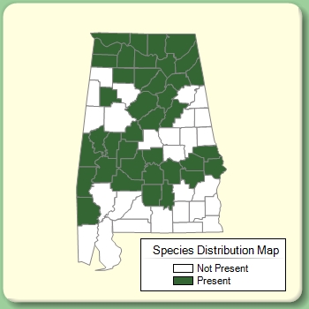 Species Distribution Map