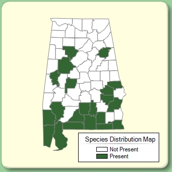 Species Distribution Map