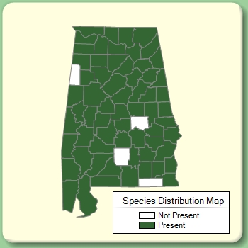 Species Distribution Map