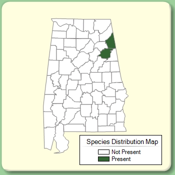 Species Distribution Map