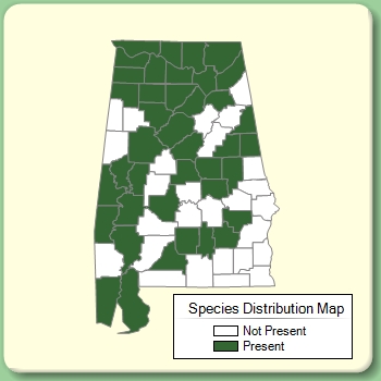 Species Distribution Map