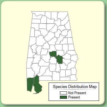 Species Distribution Map