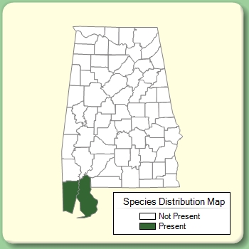 Species Distribution Map