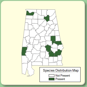 Species Distribution Map