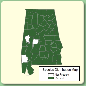 Species Distribution Map