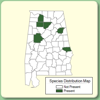 Species Distribution Map