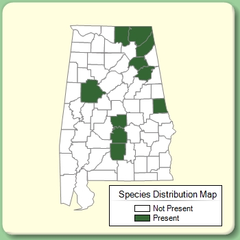 Species Distribution Map