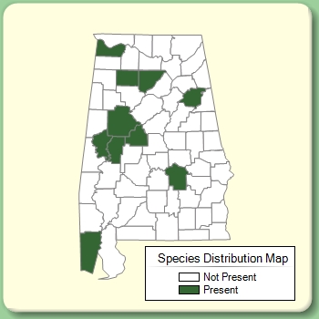 Species Distribution Map