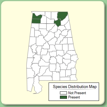Species Distribution Map