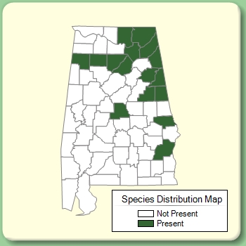 Species Distribution Map