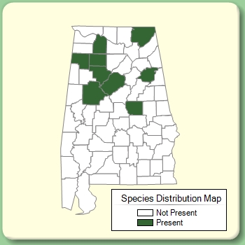 Species Distribution Map