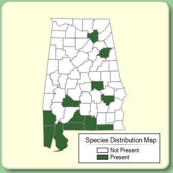 Species Distribution Map