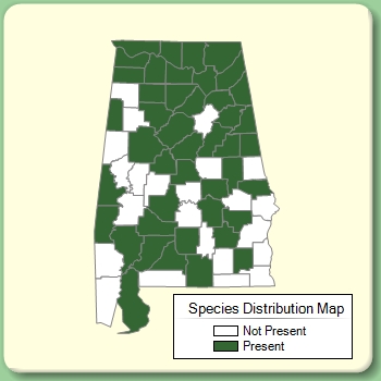 Species Distribution Map