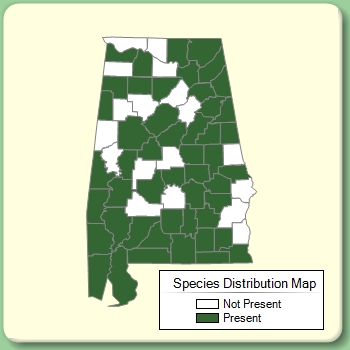 Species Distribution Map