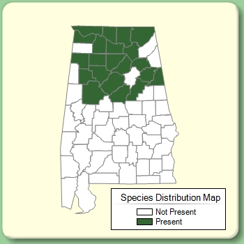 Species Distribution Map