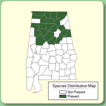 Species Distribution Map