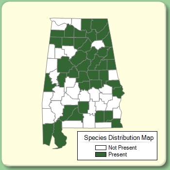 Species Distribution Map