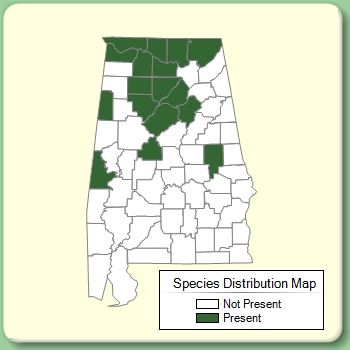 Species Distribution Map