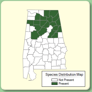 Species Distribution Map