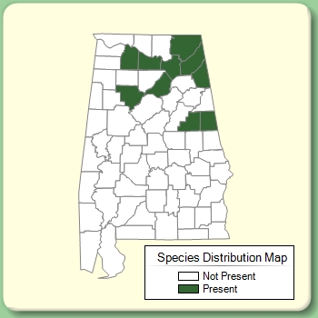 Species Distribution Map