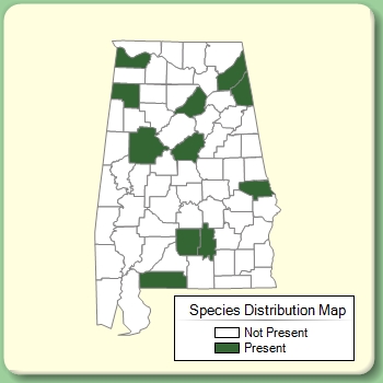 Species Distribution Map