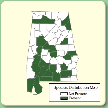 Species Distribution Map