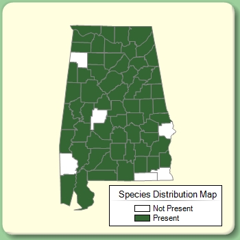 Species Distribution Map