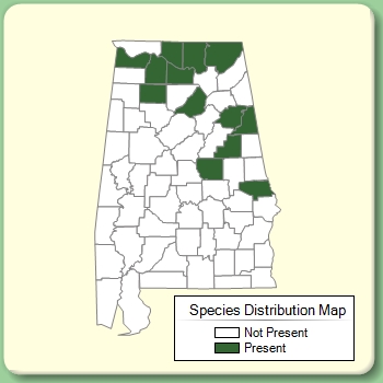 Species Distribution Map