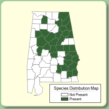 Species Distribution Map