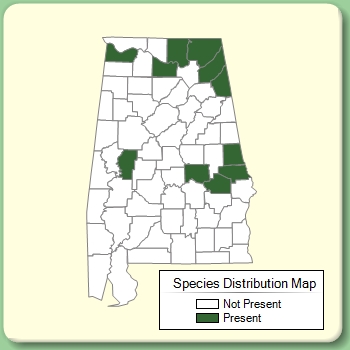 Species Distribution Map