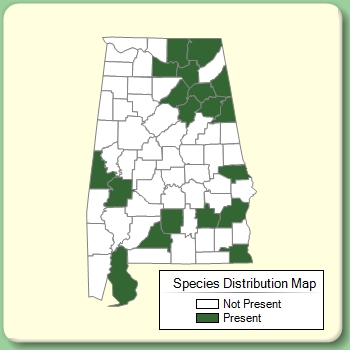 Species Distribution Map