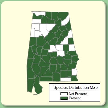 Species Distribution Map