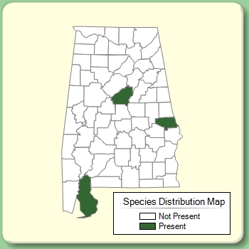 Species Distribution Map