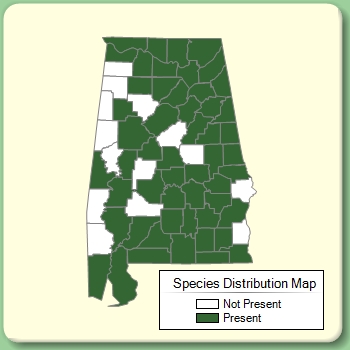 Species Distribution Map