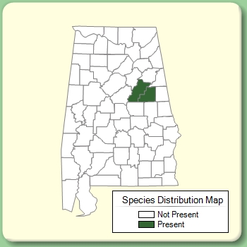 Species Distribution Map