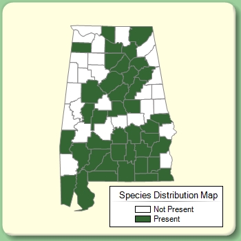 Species Distribution Map