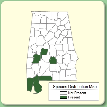 Species Distribution Map