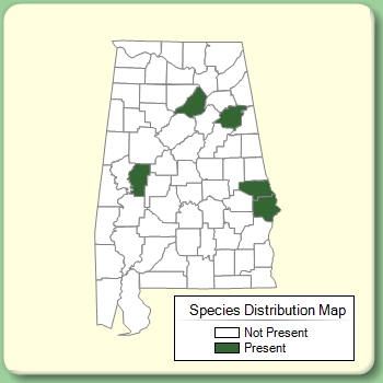 Species Distribution Map