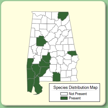 Species Distribution Map